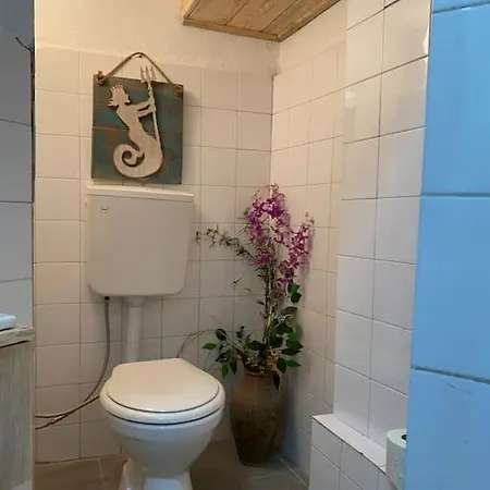 Apartament Nature Of Sea In The Center *